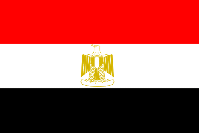 Egipto Política con Facebook y Twitter. Bandera de Egipto