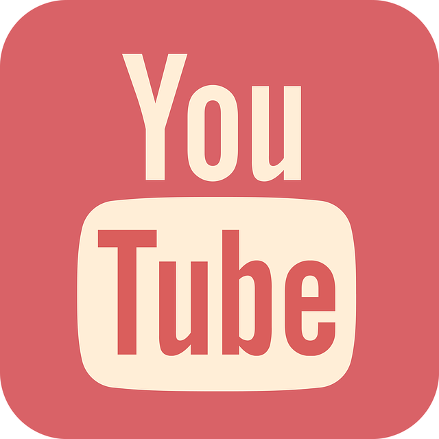 Shorts de YouTube. Logo del canal.